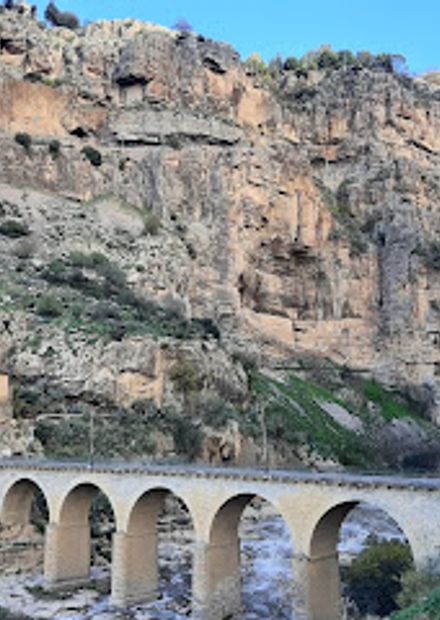 The Falls Bridge