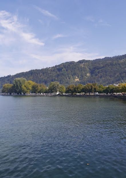 Molo