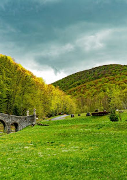 Park Hrafa Shenborna