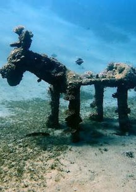 Mashraba dive site