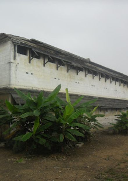 Ussher Fort