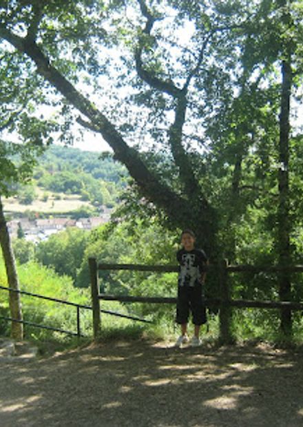 photo