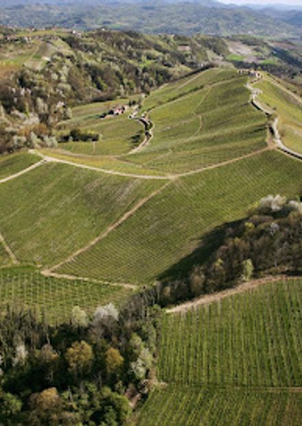 Cantine Bosca