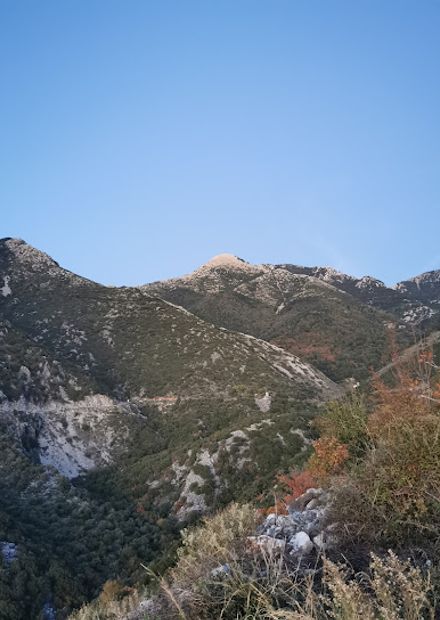 View point