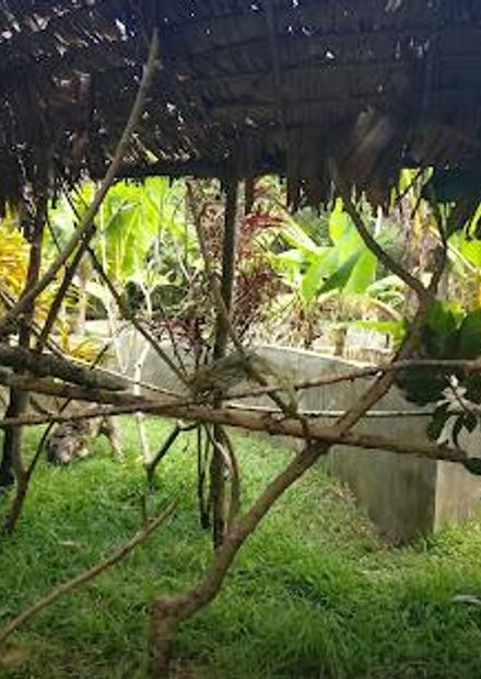Lemuria Land