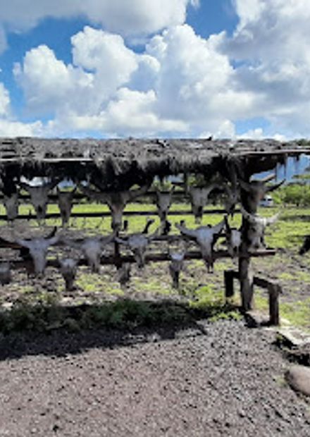 Africa van Java