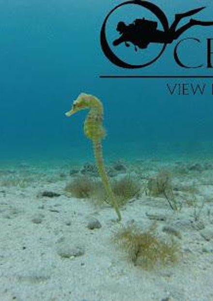 Ocean View Diving,Cyprus