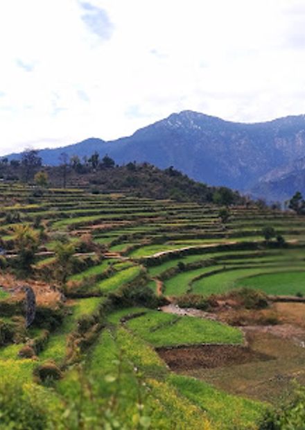 Shivavalleytours.in