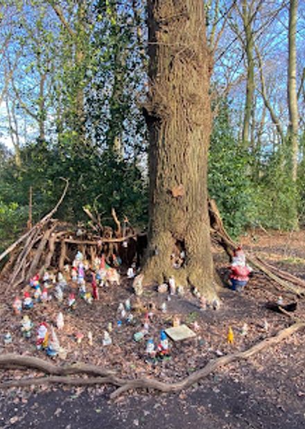 Het Kabouterbos