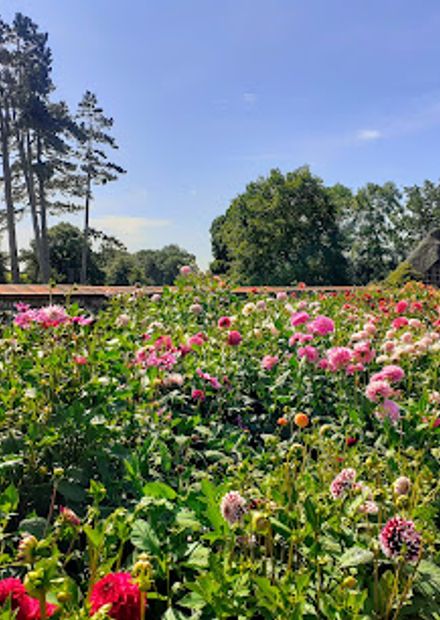 National Trust - Baddesley Clinton