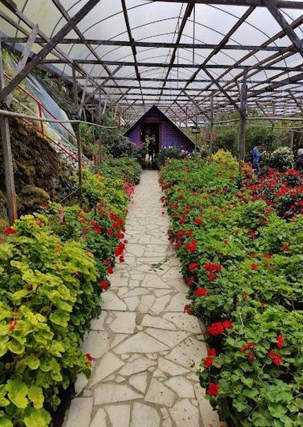 Rose Valley