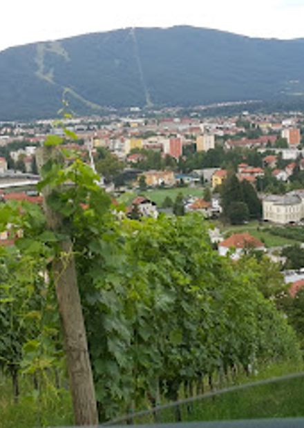 Mestni vrh