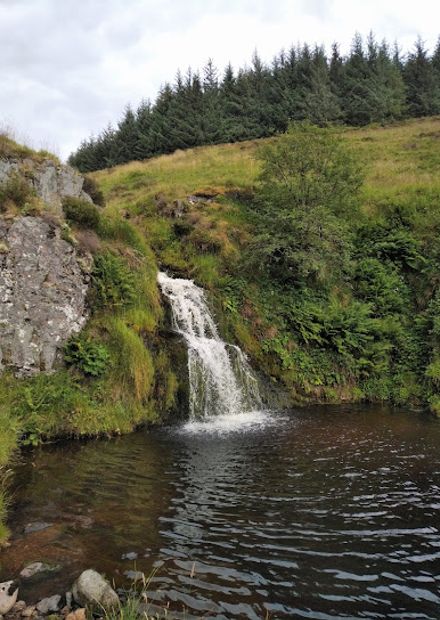 Davidson's Linn