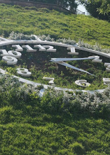 Flower Clock