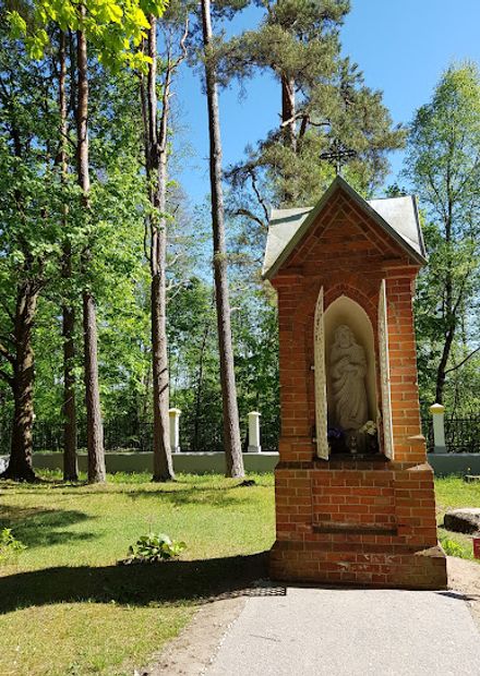 Krokulė Spring