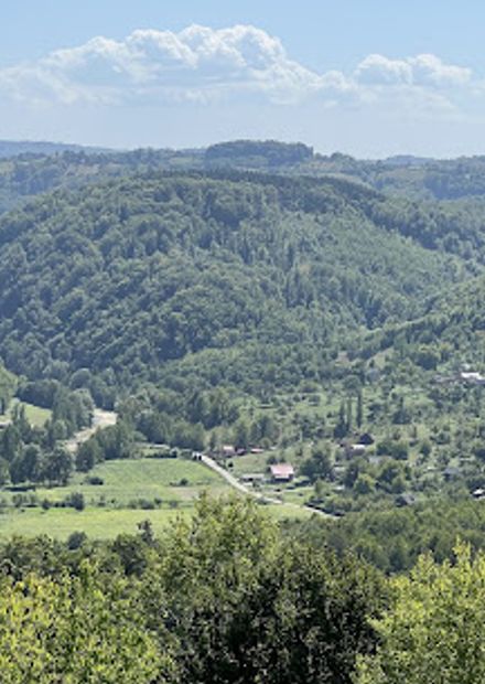 Cetatea Chioarului