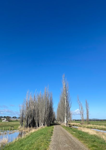 Yarra Valley Trail