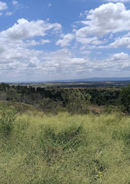 Schultz Lookout