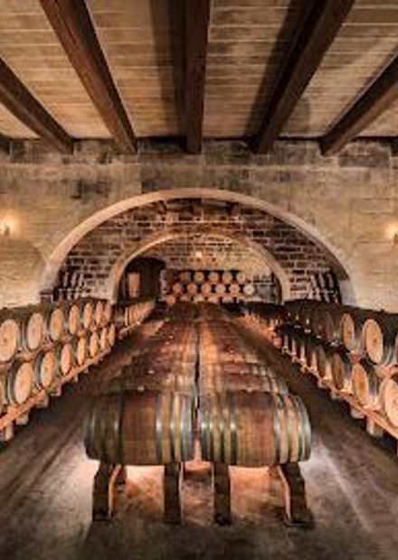 Marsovin Winery