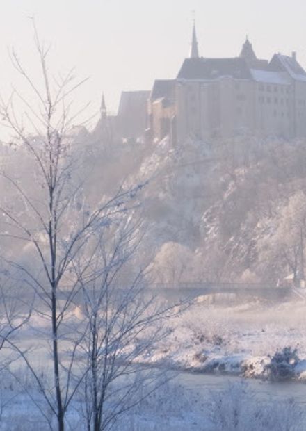 Mildenstein Castle