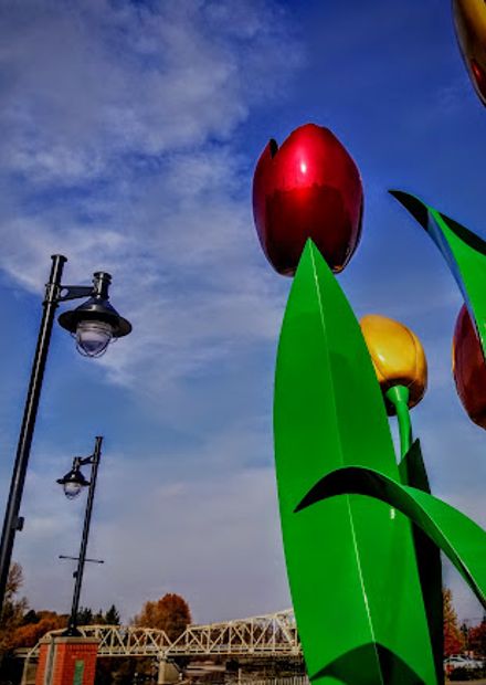 photo
