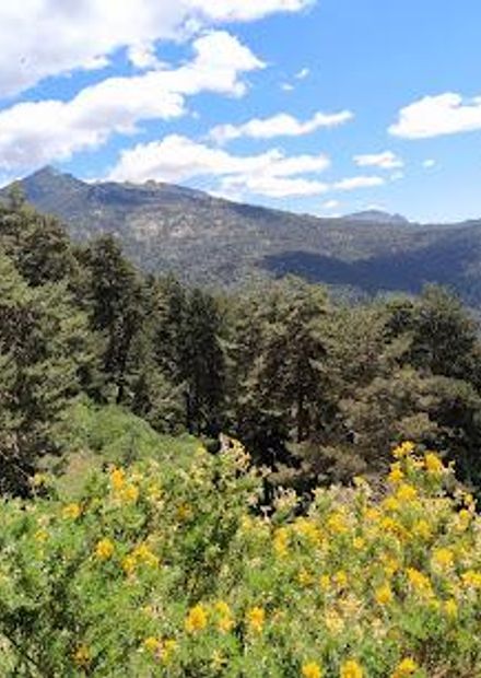 Cercedilla