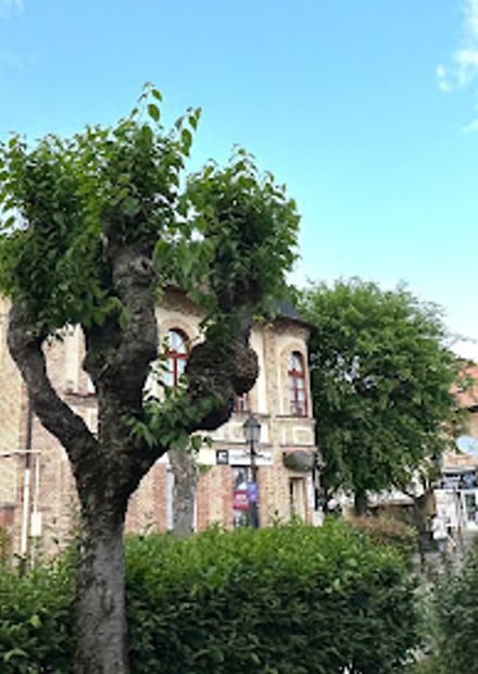 photo