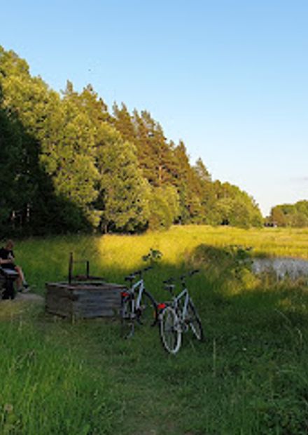 Vallaskogen