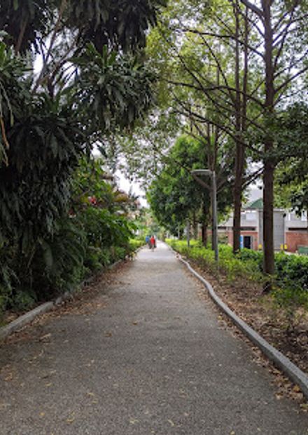 Haig Walk