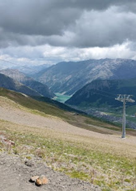 photo