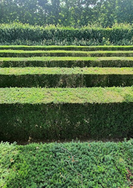 Maze