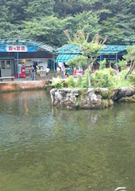 Otaki Limestone Cave