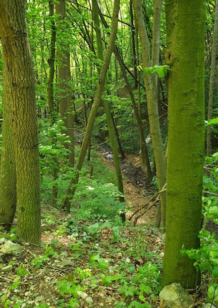 Siegenfelder Wasserfall