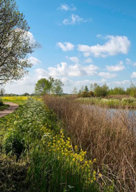 Abtswoudse Bos