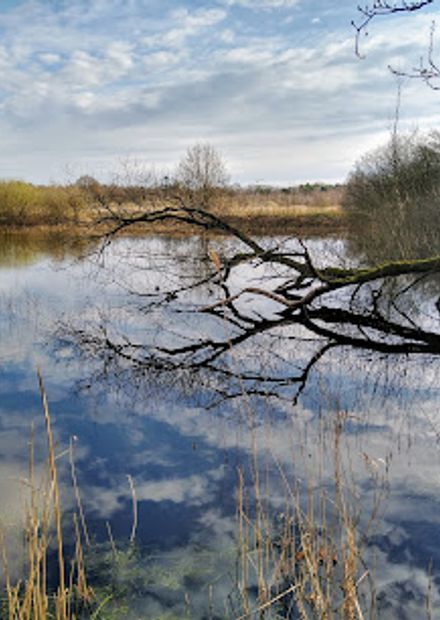 Het Wik