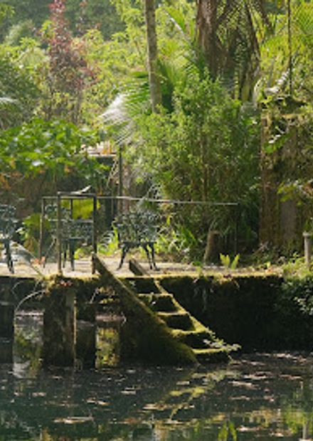 Finca Dracula