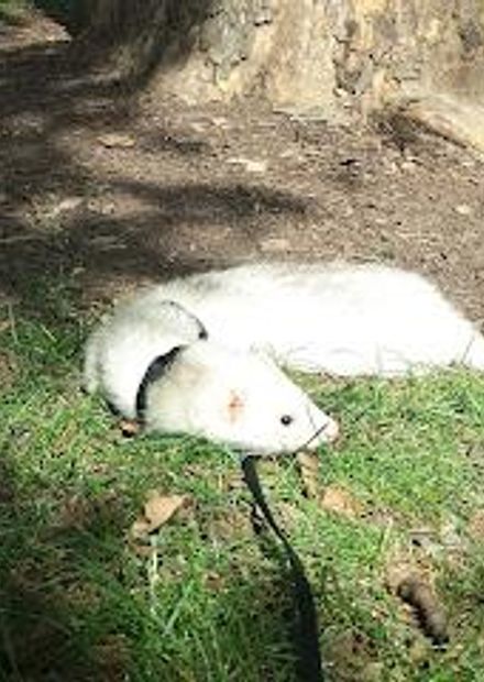 photo
