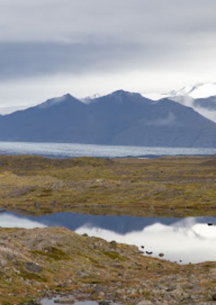 Fjallsárlón