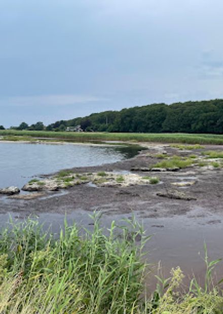 Vornæs havn