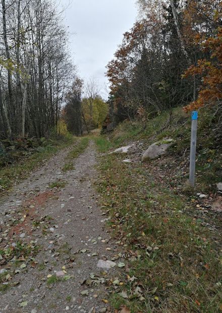 Kuststigen