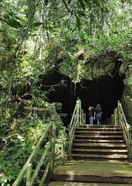 Wind Caves