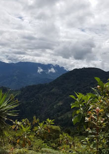 Parque Nacional Cusuco