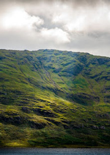 Viewpoint