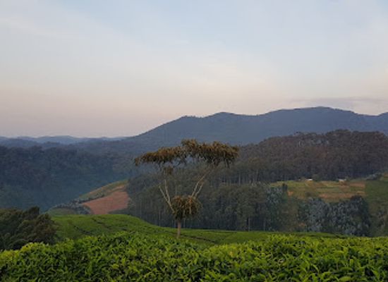 rwanda/nyungwe-forest-national-park/attraction/kitabi-cultural-village-kcv