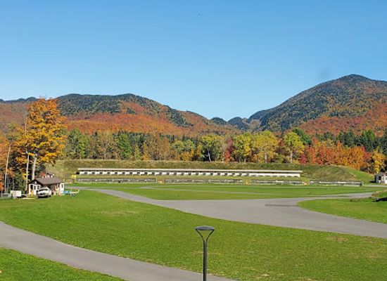 new-york/adirondack-mountains/attraction/lake-placid-bobsled-experience