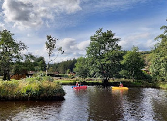ireland/wicklow-mountains/attraction/clara-lara-funpark