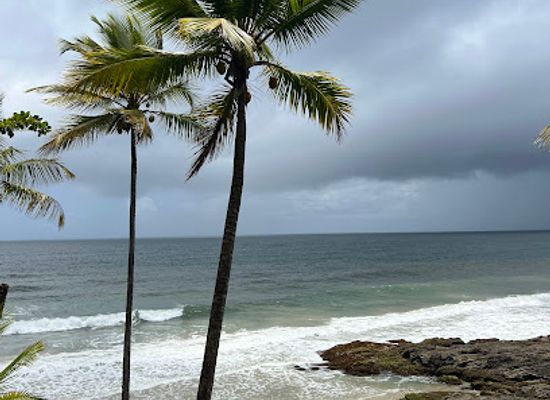 brazil/itacare/attraction/praia-dos-corais