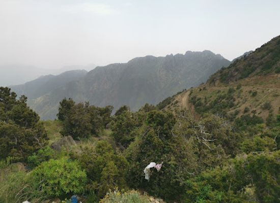 saudi-arabia/al-soudah-park/attraction/wadi-absouda