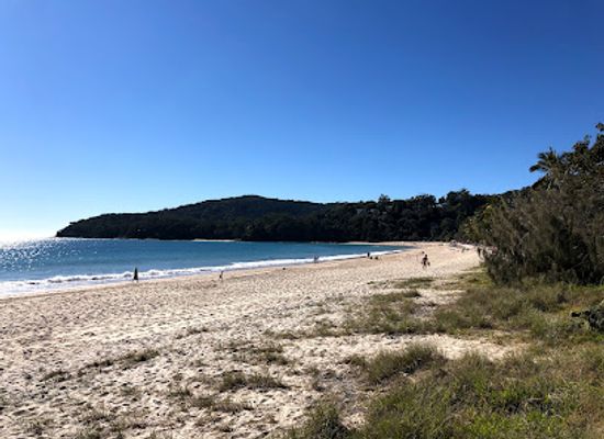 australia/noosa/attraction/maison-la-plage-grove