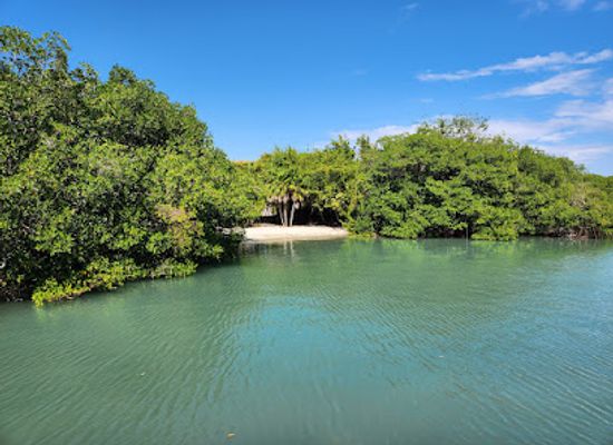 belize/toledo-district/attraction/harvest-caye